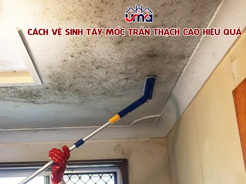 cach-ve-sinh-tay-moc-tran-thach-cao-hieu-qua