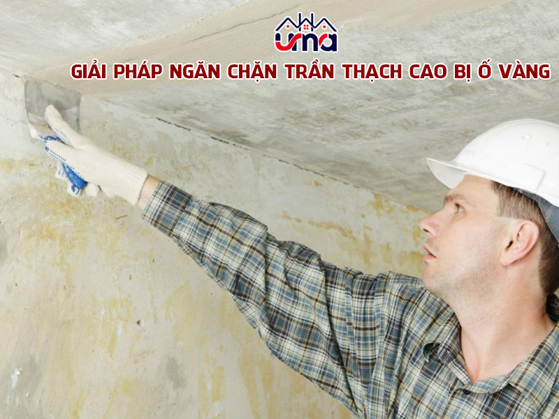giai-phap-ngan-chan-tran-thach-cao-bi-o-vang