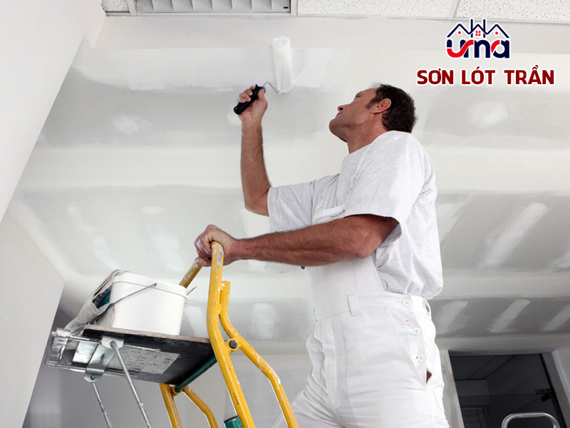 son-lot-tran