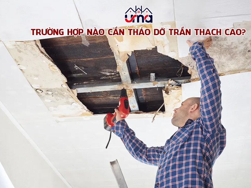 truong-hop-nao-can-thao-do-tran-thach-cao
