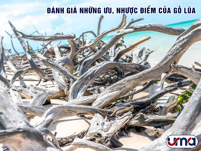 danh-gia-nhung-uu-nhuoc-diem-cua-go-lua