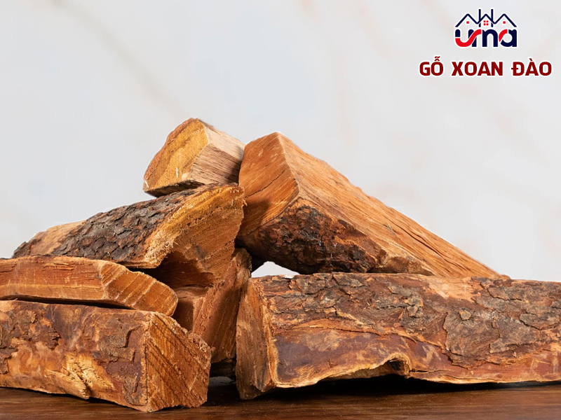 go-xoan-dao