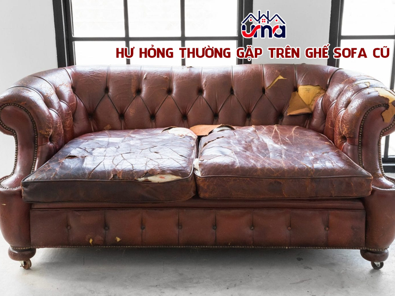 hu-hong-thuong-gap-tren-ghe-sofa-cu