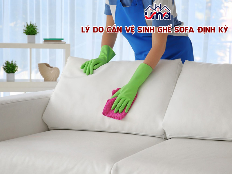 ly-do-can-ve-sinh-ghe-sofa-dinh-ky