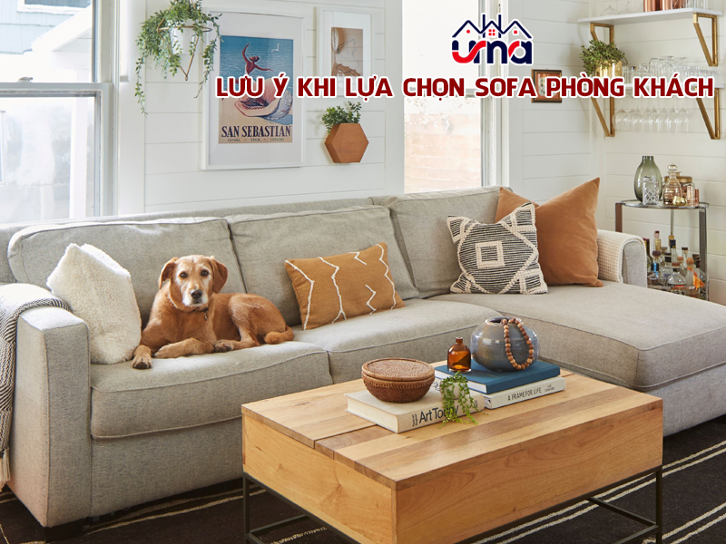 luu-y-khi-lua-chon-sofa-phong-khach