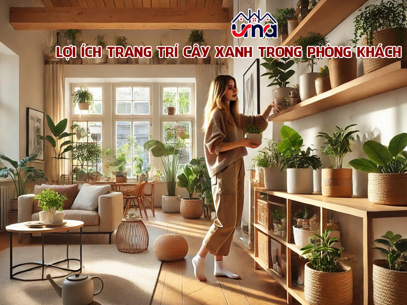 loi-ich-trang-tri-cay-xanh-trong-phong-khach