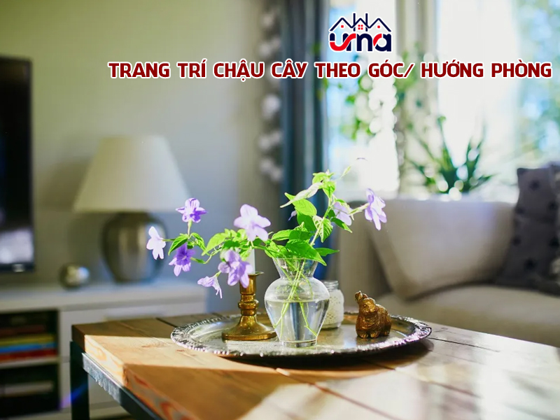 trang-tri-chau-cay-theo-goc-huong-phong