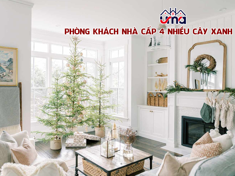 phong-khach-nha-cap-4-nhieu-cay-xanh