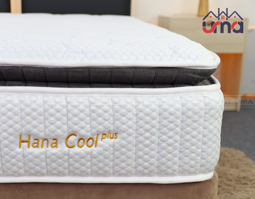 nem-lo-xo-Tatana-Hana-Cool-Plus-em-ai-nlx013
