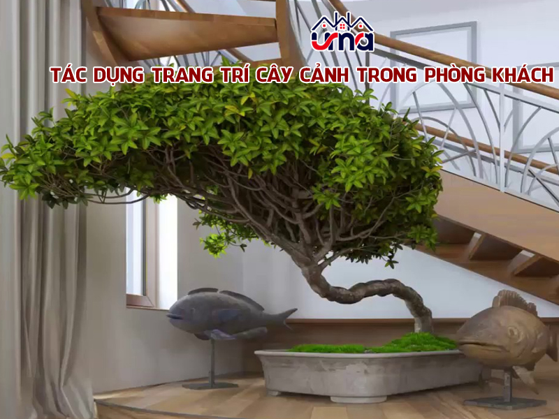 tac-dung-trang-tri-cay-canh-trong-phong-khach