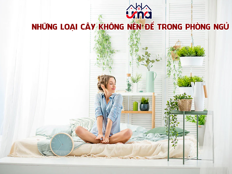 nhung-loai-cay-khong-nen-de-trong-phong-ngu