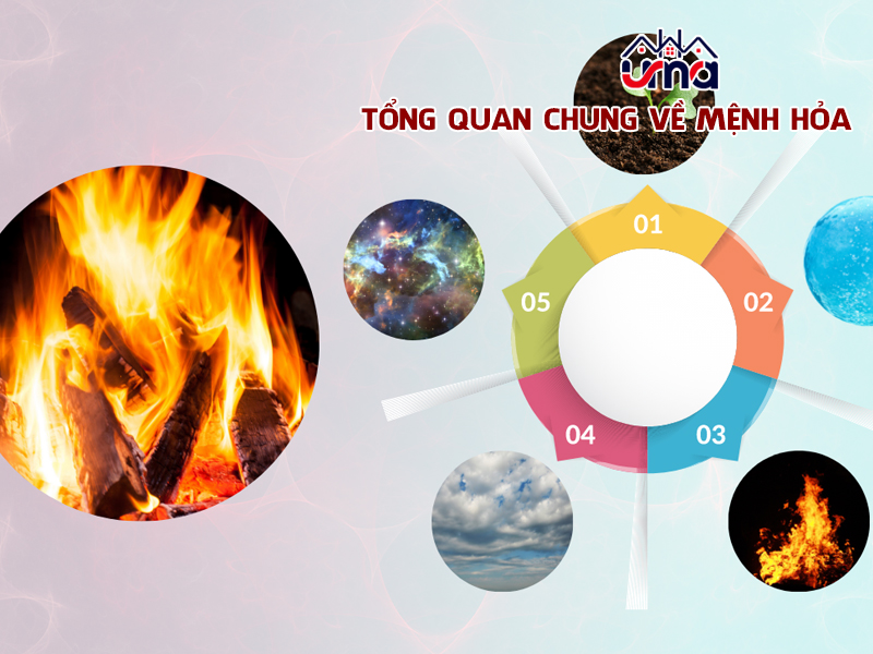 tong-quan-chung-ve-menh-hoa