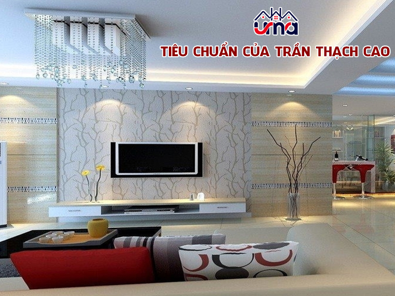tieu-chuan-cua-tran-thach-cao