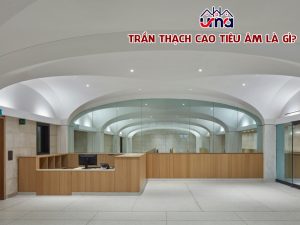tran-thach-cao-tieu-am-la-gi