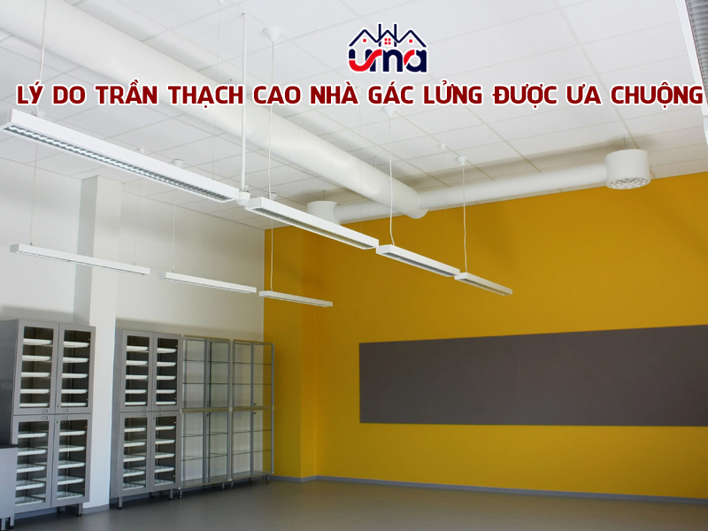 ly-do-tran-thach-cao-nha-gac-lung-duoc-ua-chuong