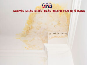 nguyen-nhan-khien-tran-thach-cao-bi-o-vang
