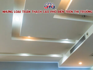 nhung-loai-tran-thach-cao-pho-bien-tren-thi-truong