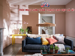 phoi-mau-son-tran-thach-cao-dep-la-gi