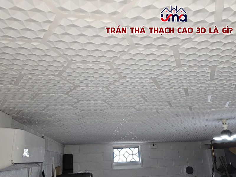 tran-tha-thach-cao-3d-la-gi