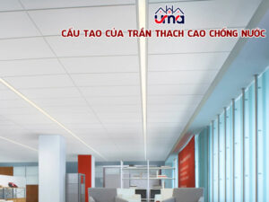cau-tao-cua-tran-thach-cao-chong-nuoc