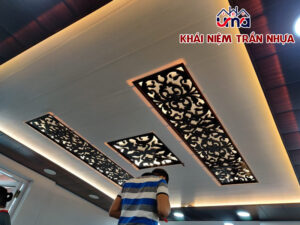khai-niem-tran-nhua