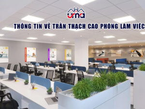 thong-tin-ve-tran-thach-cao-phong-lam-viec
